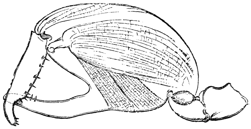 Fig. 21.