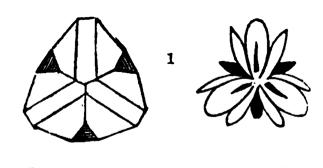 crystals with triangular symmetry