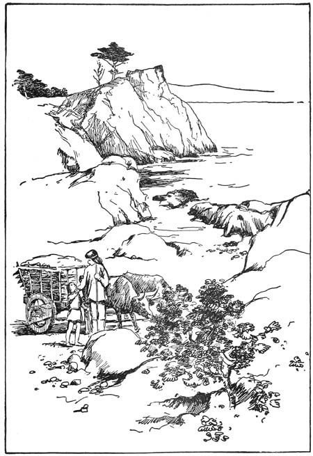 Docas and Oshda brought the hides and tallow down to the beach in the ox-carts