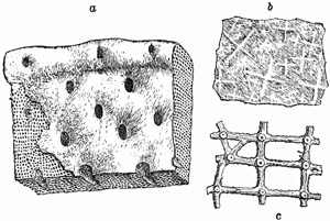 Fig. 77.