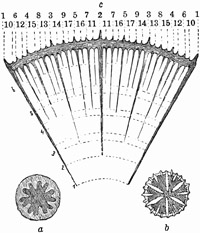 Fig. 139.