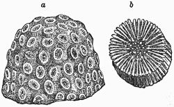 Fig. 149.