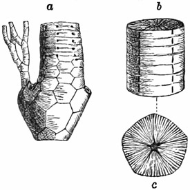 Fig. 258.