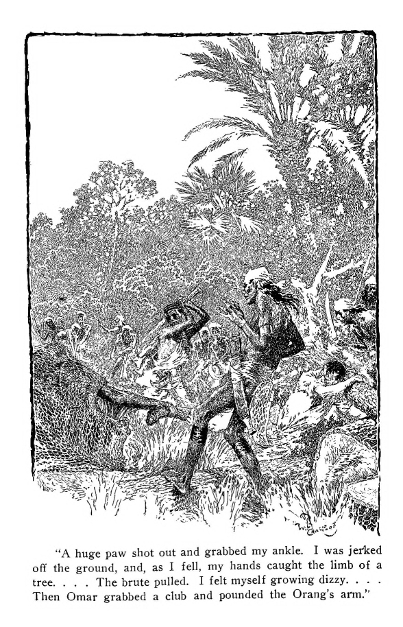 "A huge paw shot out and grabbed my ankle.  I was jerked off the ground, and, as I fell, my hands caught the limb of a tree....  The brute pulled.  I felt myself growing dizzy.... Then Omar grabbed a club and pounded the Orang's arm."