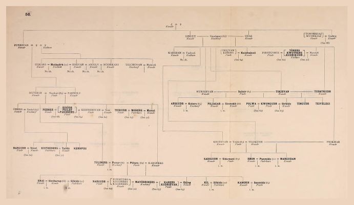 Genealogical Table