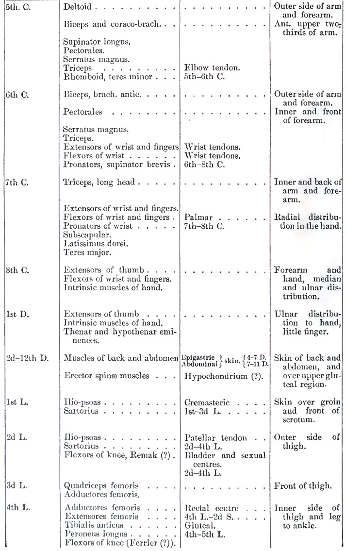 Localization in spine part 1