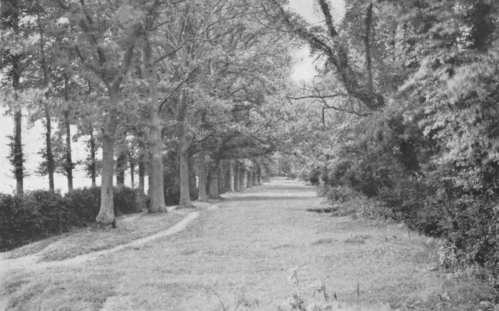 Photo of Woodcock Lane