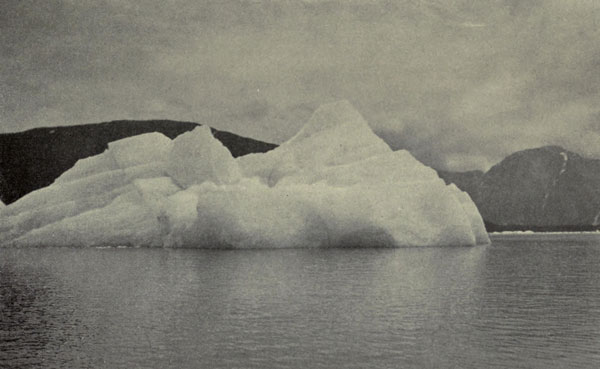 Floating Iceberg, Taku Inlet