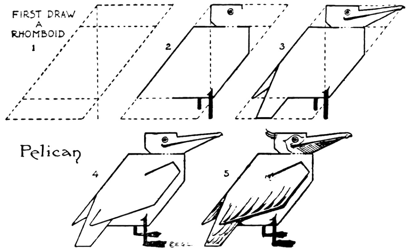 FIRST DRAW A RHOMBOID Pelican