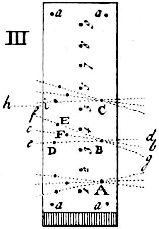 Plank with holes