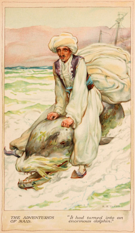 Said is carried by the dolphin