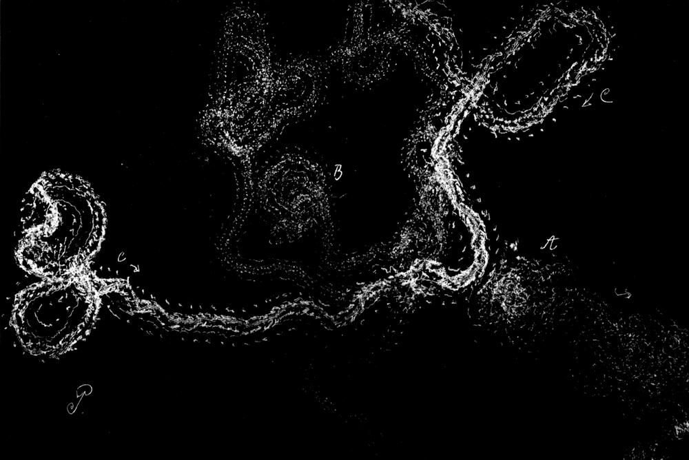 Unorientierte Bewegung bei diffusem   Licht