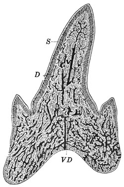 Fig. 14.