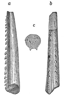 Fig. 57.