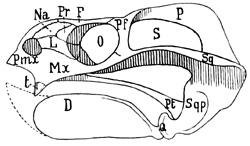 Fig. 335.