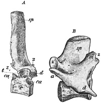 Fig. 475.