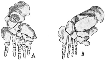 Fig. 514.