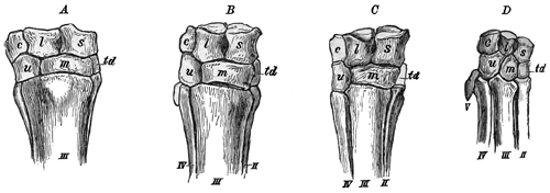 Fig. 631.