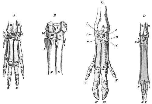 Fig. 652.