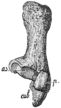 Fig. 653.