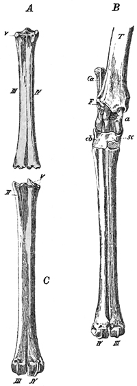 Fig. 682.