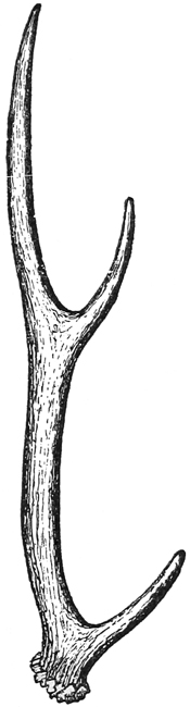 Fig. 689.