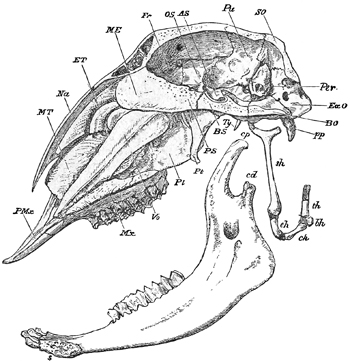 Fig. 695.