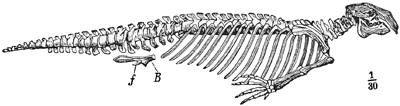 Fig. 739.