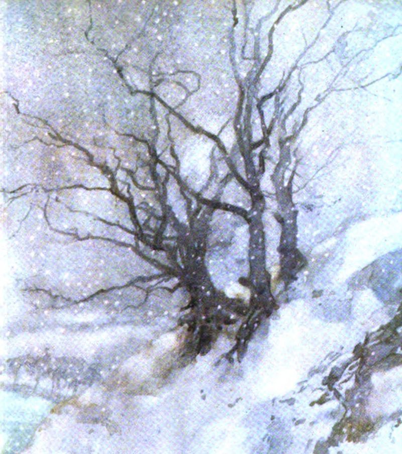 Bare tree on a hillside in a snowstorm