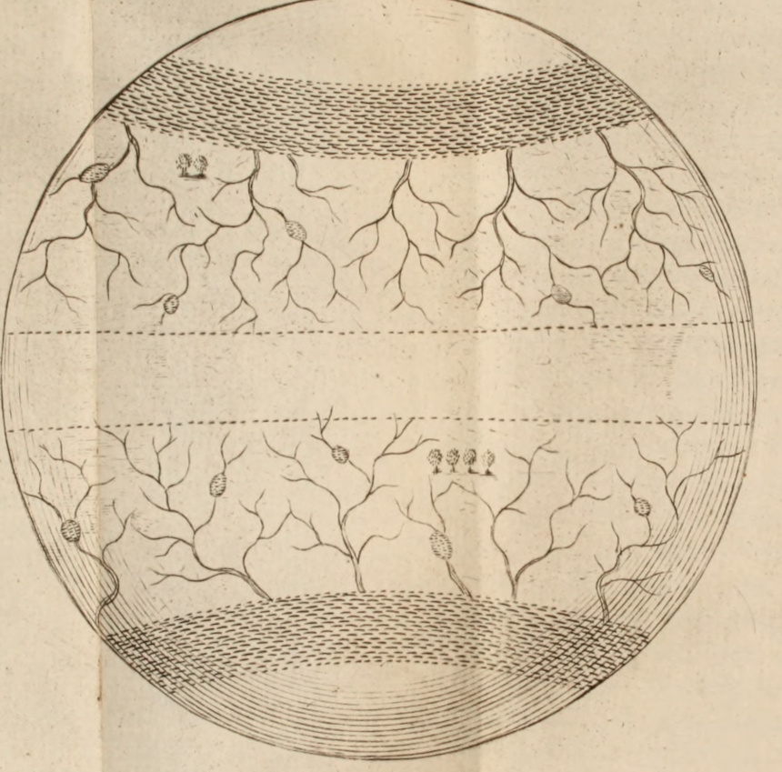 The Earth, with Zones near the Poles, and Rivers flowing from there towards the Equator.