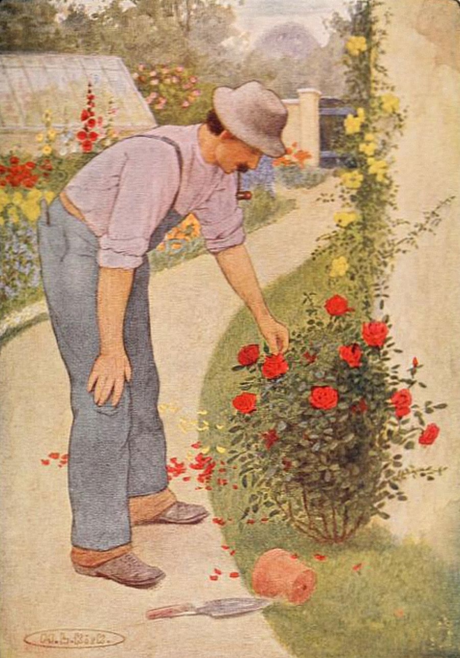 A gardener is wearing a hat, a light-colored shirt with rolled-up sleeves, blue trousers held up by suspenders, and brown shoes. He has a pipe in his mouth and is bending over, carefully handling a red rose.