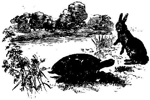 [DER HASE UND DIE SCHILDKRÖTE]