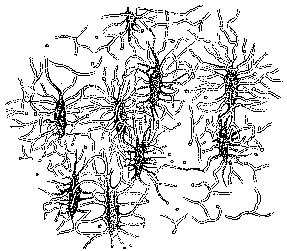 Fig.6 Nine star-shaped bone cells.