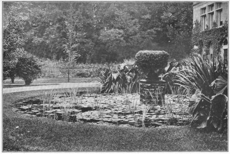 X: A shallow lawn pond, containing water-lilies, variegated sweet flag, iris, and subtropical bedding at the rear; fountain covered with parrot’s feather _(Myriophyllum proserpinacoides_).