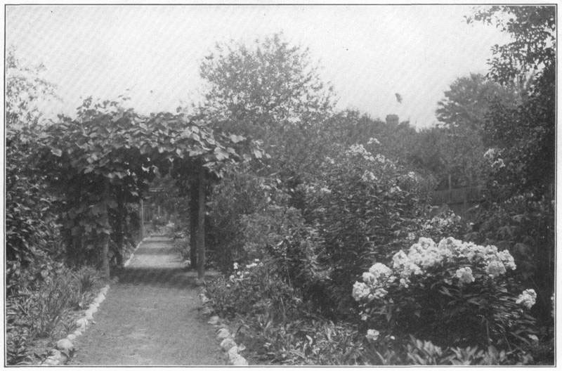 XII. The back yard, with heavy flower-garden planting.