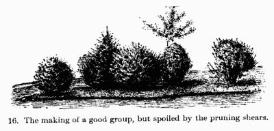 [Illustration: 16. The making of a good group, but spoiled by the pruning shears.]