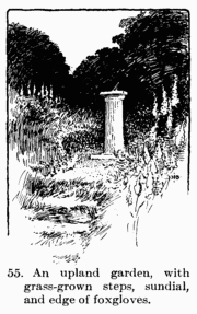 [Illustration: Fig. 55. An upland garden, with grass-grown steps, sundial, and edge of foxgloves.]