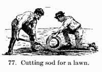 [Illustration: Fig. 77. Cutting sod for a lawn.]