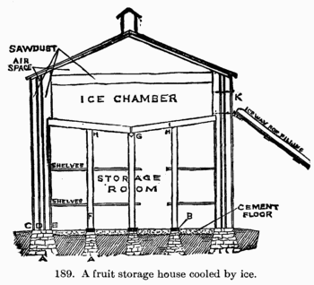 [Illustration: Fig. 189. A fruit storage house cooled by ice.]