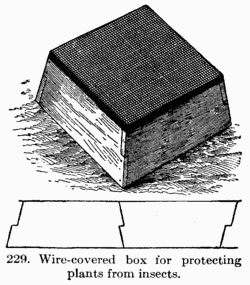 [Illustration: Fig. 229. Wire-covered box for protecting plants from insects.]