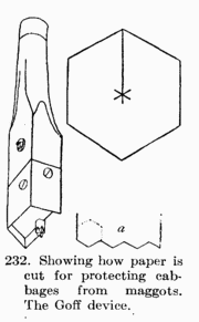 [Illustration: Fig. 232 Showing how paper is cut for protecting cabbages from maggots. The Goff device.]