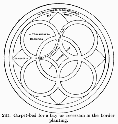 [Illustration: Fig. 241. Carpet-bed for a bay or recession in the border planting.]