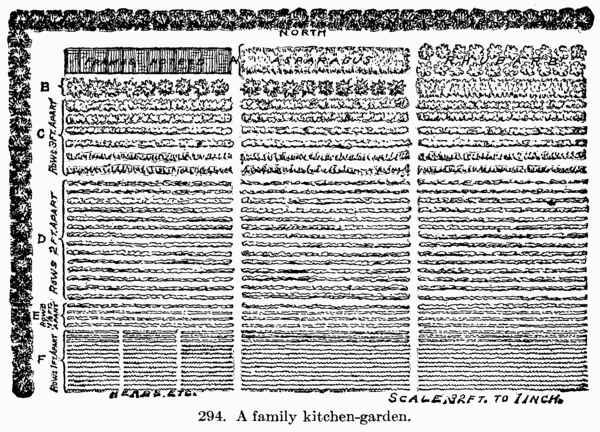 [Illustration: 294. A family kitchen-garden.]