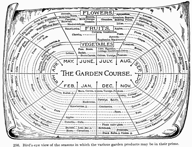 [Illustration: Fig. 318. Bird’s-eye view of the seasons in which the various garden products may be in their prime.]