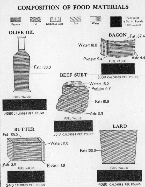 [Illustration: Composition of food materials]