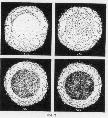 [Illustration: FIG. 2]