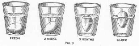 [Illustration: FIG. 3: FRESH, 3 WEEKS, 3 MONTHS, OLDER.]