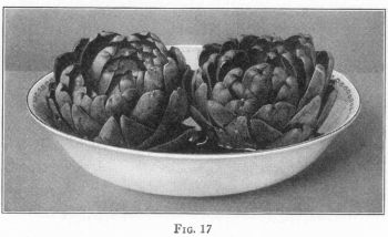 [Illustration: FIG. 17]