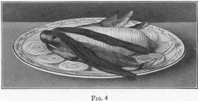 [Illustration: FIG. 3]