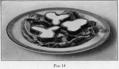 [Illustration: FIG. 14]